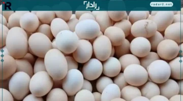 أسعار البيض في سوهاج عند 4.17 وثبات ملحوظ في أسعار البقوليات السبت